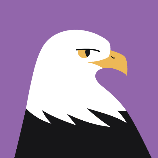 illustration of a Bald Eagle