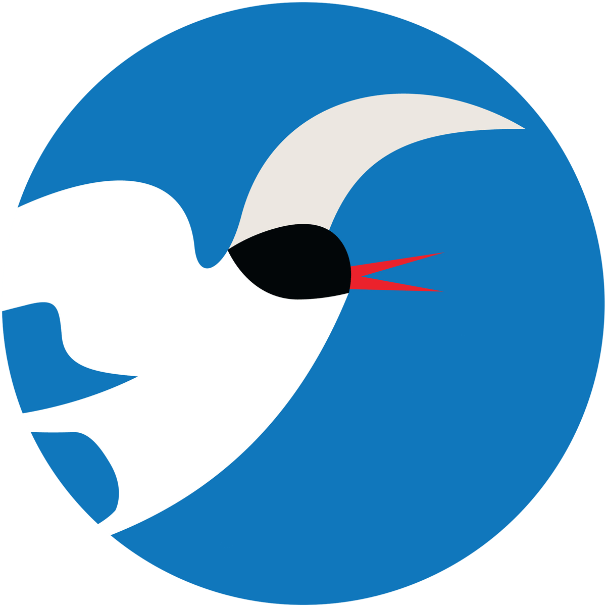 illustration of a Tern in flight