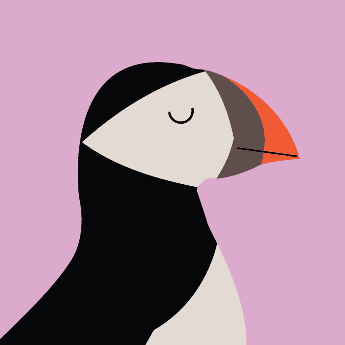 illustration of a Puffin