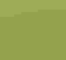 Mourning Warbler sitting on a tree branch