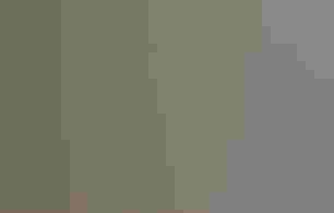 Two Blackburnian Warblers face each other in profile, their gray and white wings outstretched behind them. Their yellow heads and orange necks stand out against a blurred gray background, and their bills and feet are entangled.