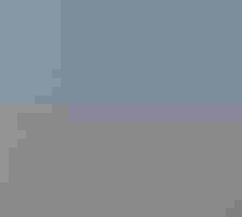 A meadowlark sings, perched on a dried plant in a field.