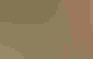 Partially hidden by brown grass and shrubbery, a Lesser Prairie-Chicken with its' patterned, striped feathers dances to attract a mate.  